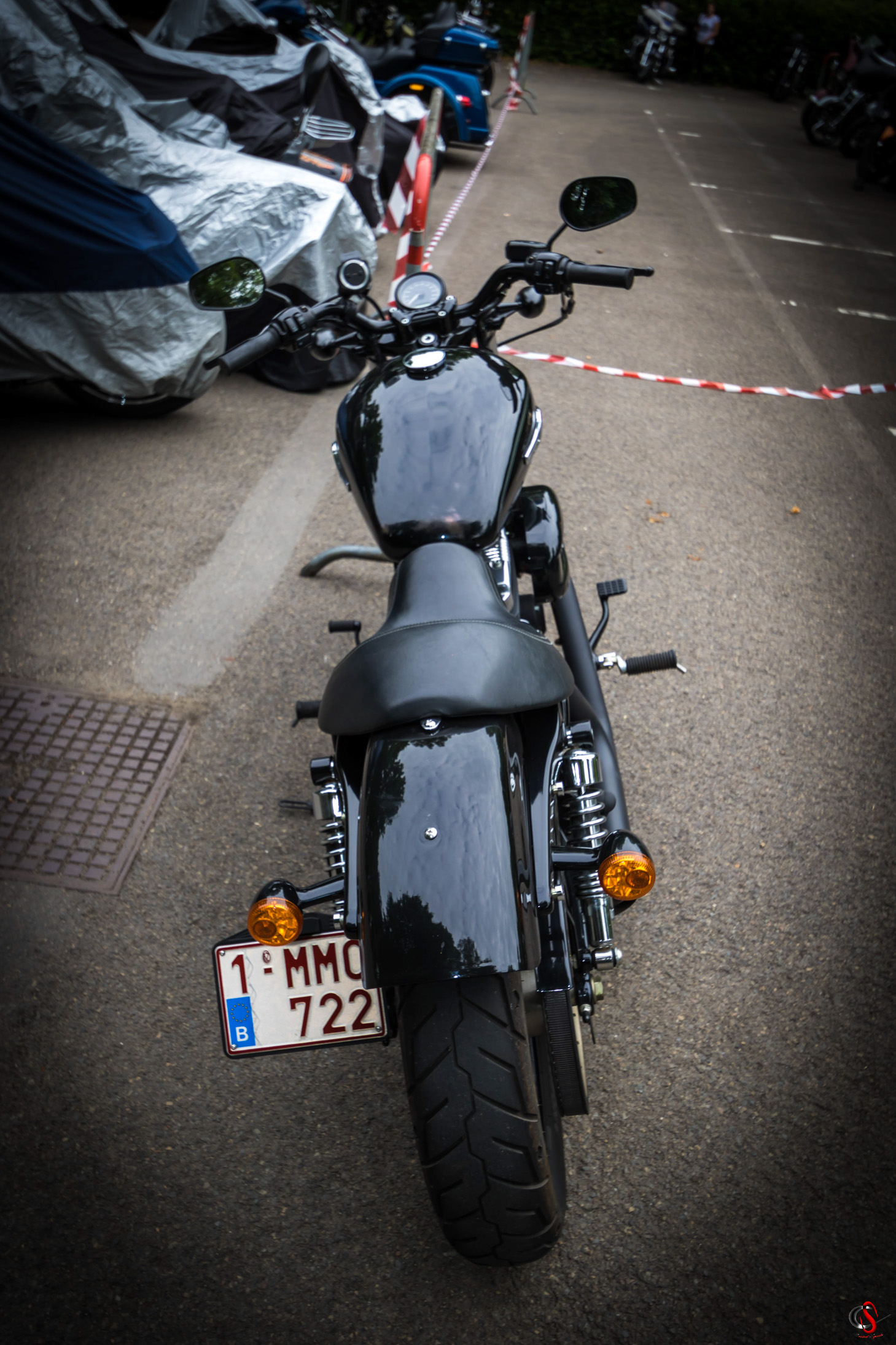 IMGL9290