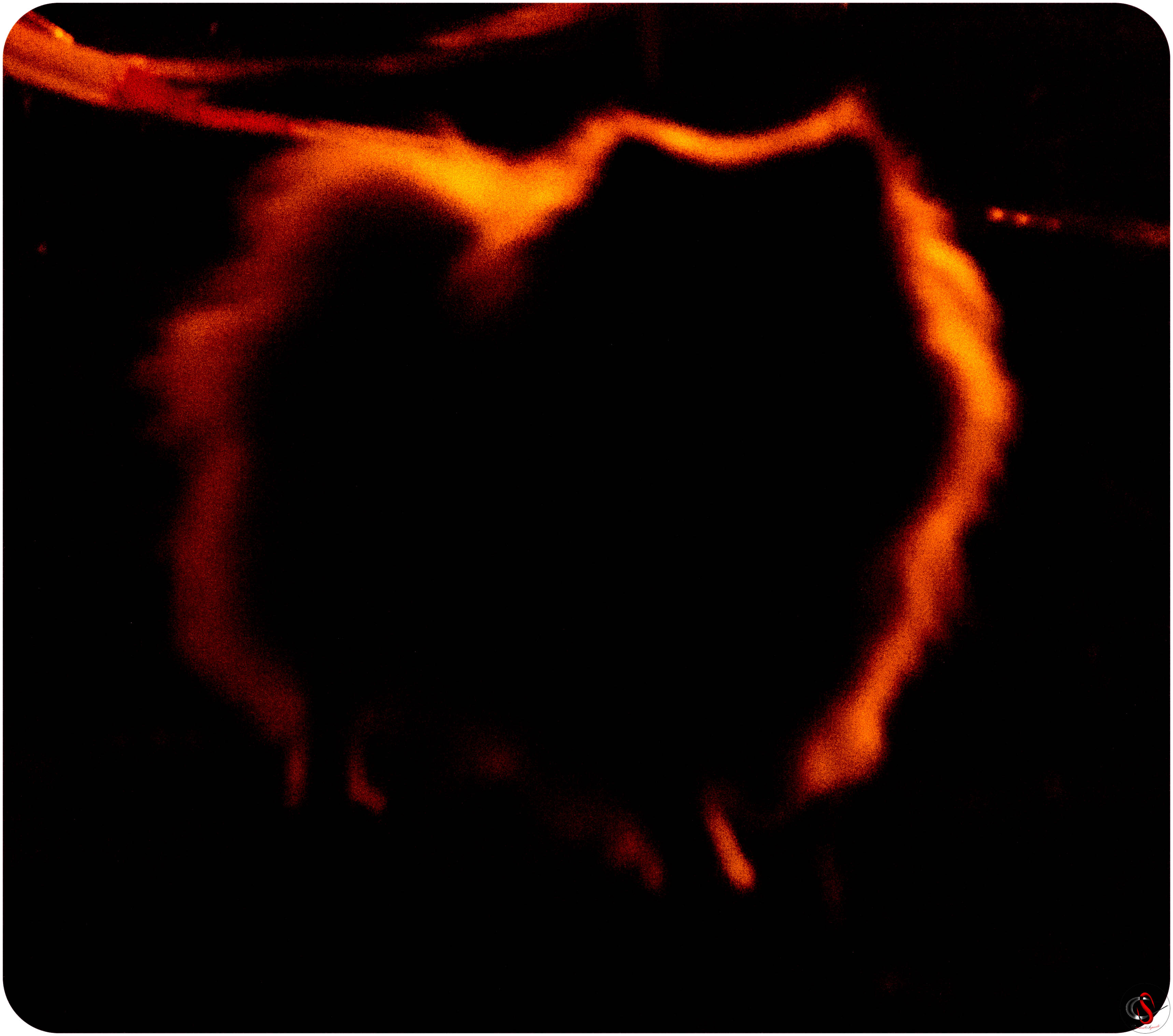 3C3A0342