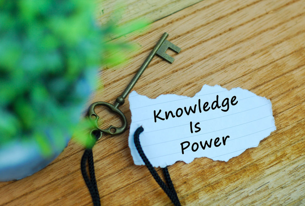 WILLS vs. TRUSTS: IN PLAIN ENGLISH
