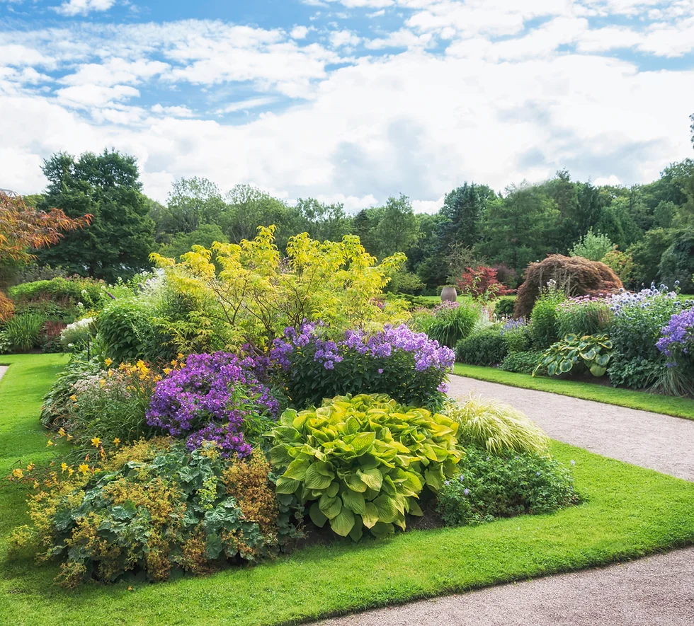 professional world fence Landscaping & fencing company. 90 Laurel