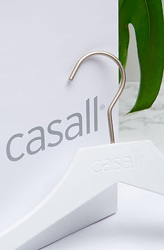 IA_case_casall-1.jpg