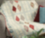 IMG-8423
