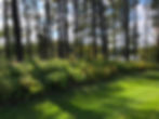 Great Pond Landscape