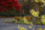 Driveway circle fall planting