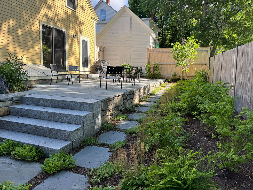 Peaceful & private backyard