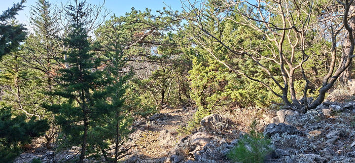 20260201_102607.jpg