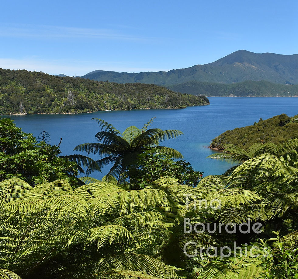 Thumbnail: SPIRIT OF NEW ZEALAND e-book