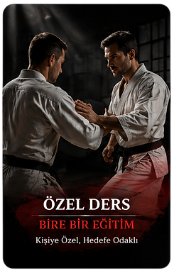 Özel ders seçenekleri