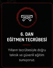 6 dan eğitim tecrubesi