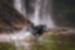 DSC06436-Edit