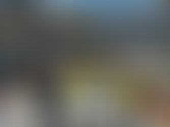 Project Management Construction Services Near Me: A Complete Guide for Property Owners