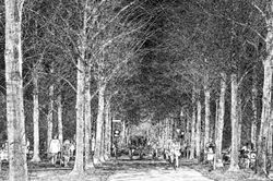 Fahrradroute auf der Promenade