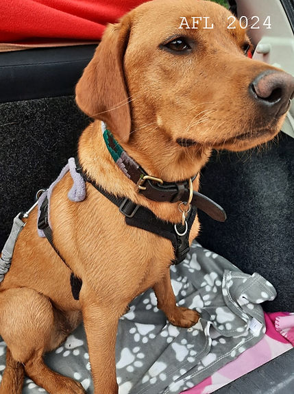 Harley wedding 3_edited.jpg