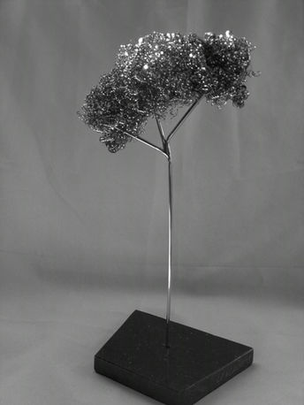 Acacia 12 x 6 x 3 in. stainless steel on granite base BW.jpeg