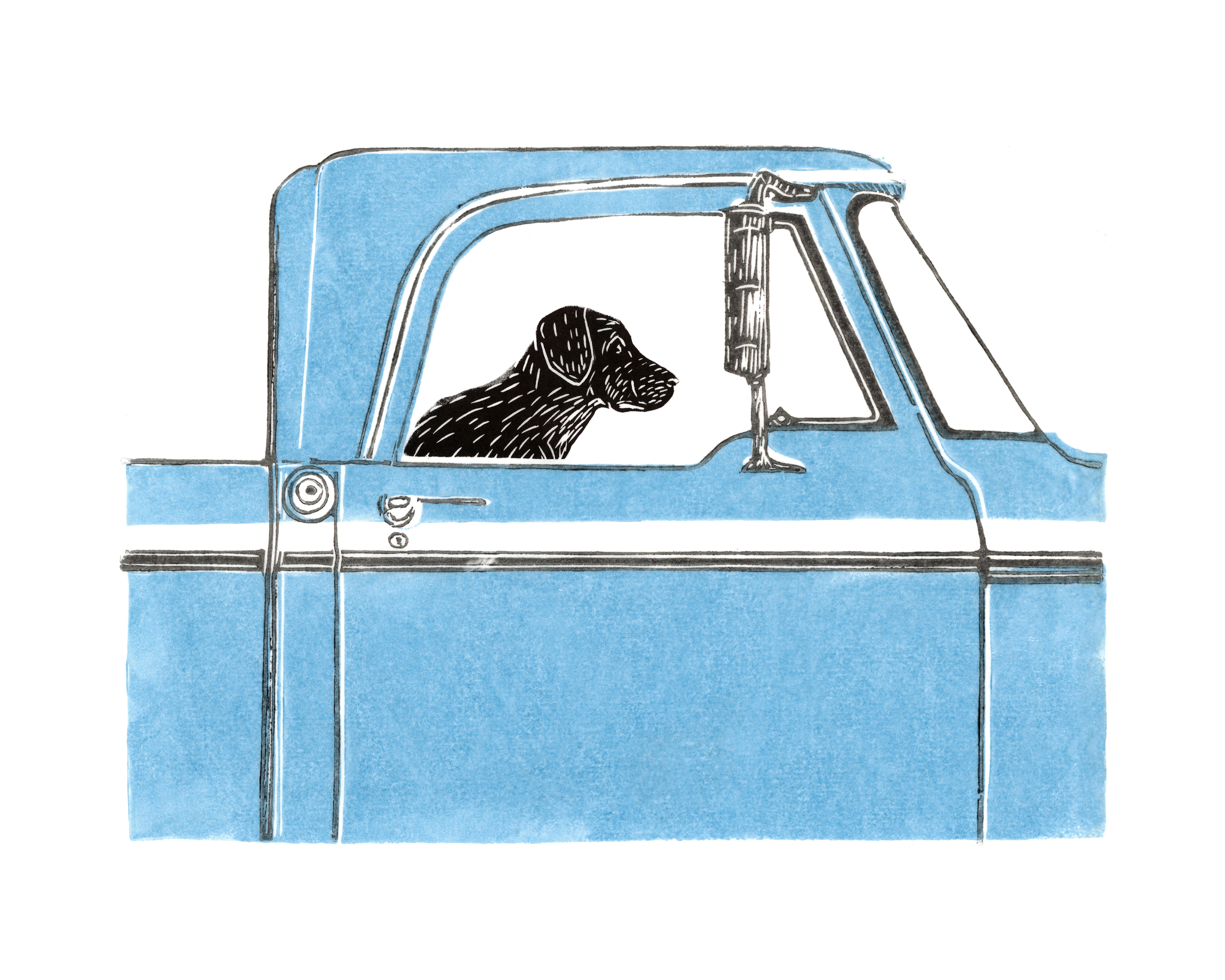Riding Shotgun - Blue
