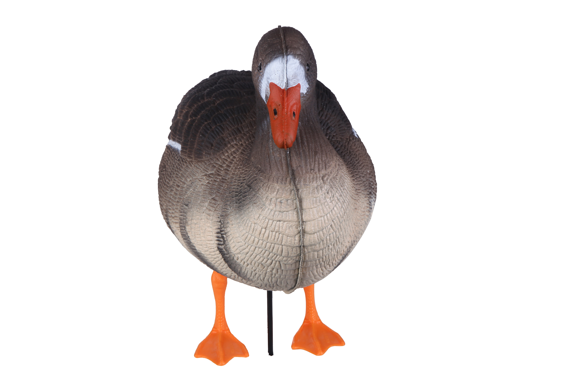 Чучело турпана гринхед. Набор для чучел redhead decoy gang rig kit - 56' на 12 уток. Чучело sport plast гусь белолобый кормящийся. Кряква гринхед. Чучело птицы селезня.