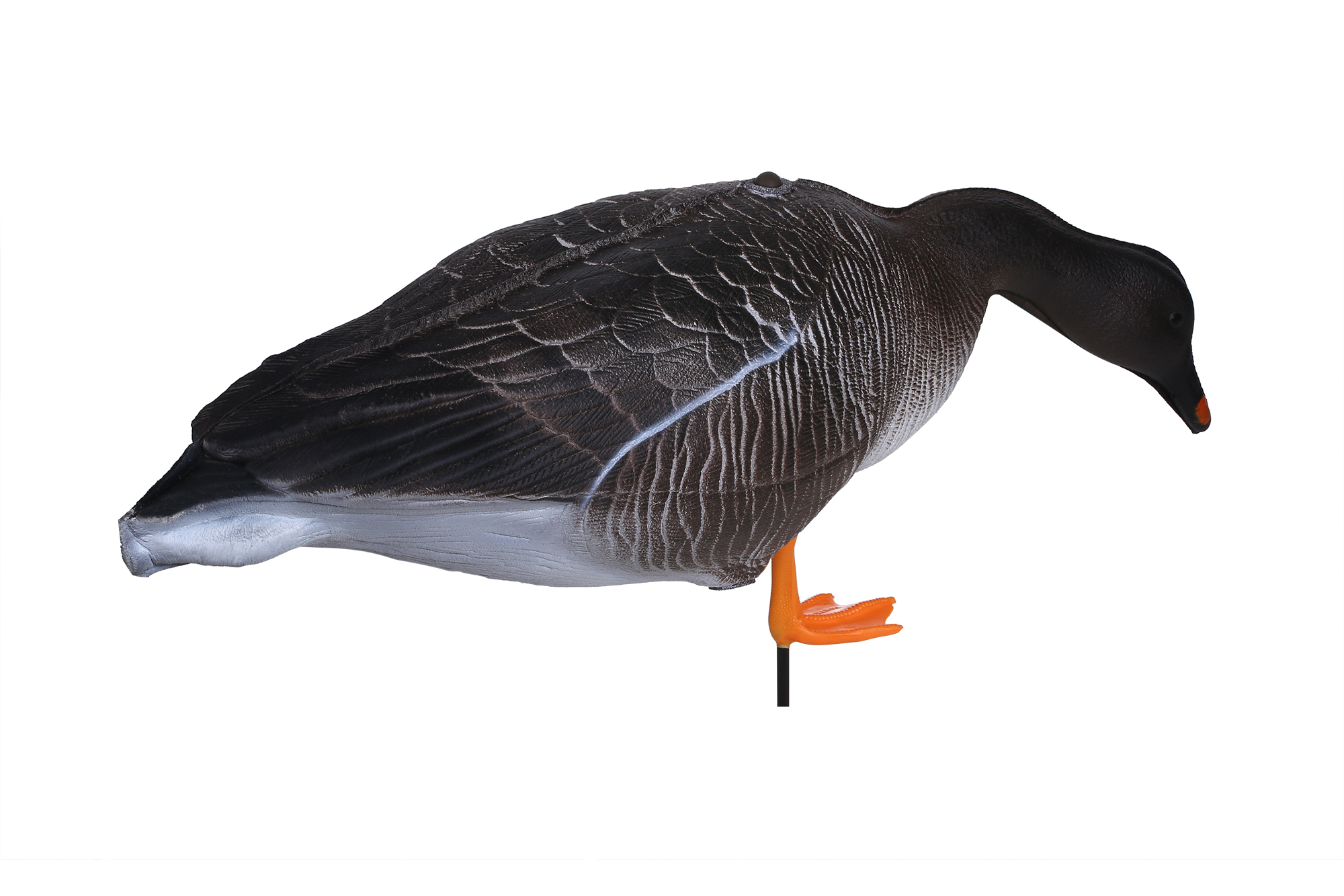 Аквазон чучела для охоты. Чучело гуся "белолобый гусь". Чучела гуся плавающего софтпласт альфа. Аквазон чучела гусей. Чучело утки магнум лакидак охоты.