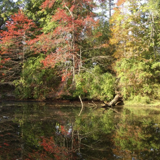 colorful deciduous trees reflected in water