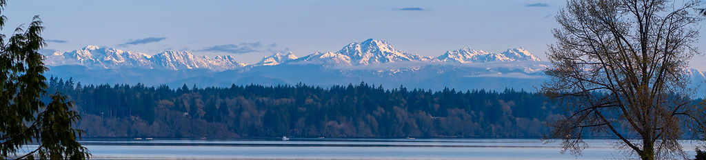 Olympic View Water Sewer Management