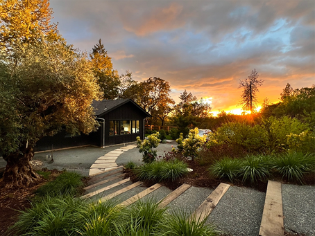 sunset in a beautiful garden with curved gravel and wood steps in the foreground