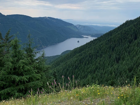 Tolt Watershed in Washington state surrounded by forested hills under a cloudy sky