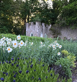 Gardens in Valley Forge Pennsylvania