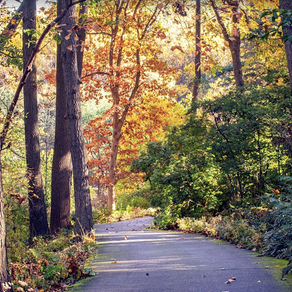 Fall Conference 2024 in America's Garden Capital