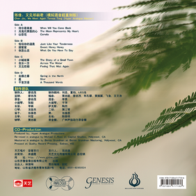 Teresa Teng Chen Jia We Meet Again Album Original Back Cover