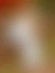 Senior girl sitting on a fence surrounded by fall leaves