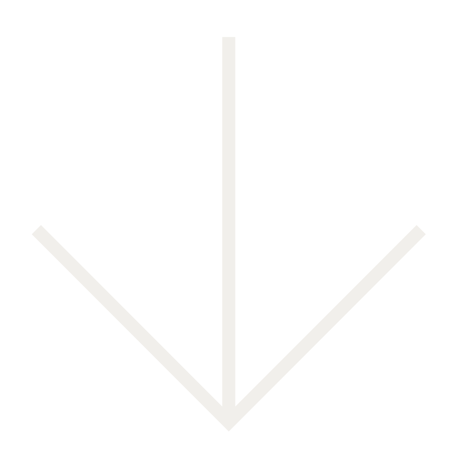 Icon_Arrow_Down_Light.png