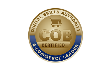 DSA-COB-E-Commerce-Leader-Cover.png