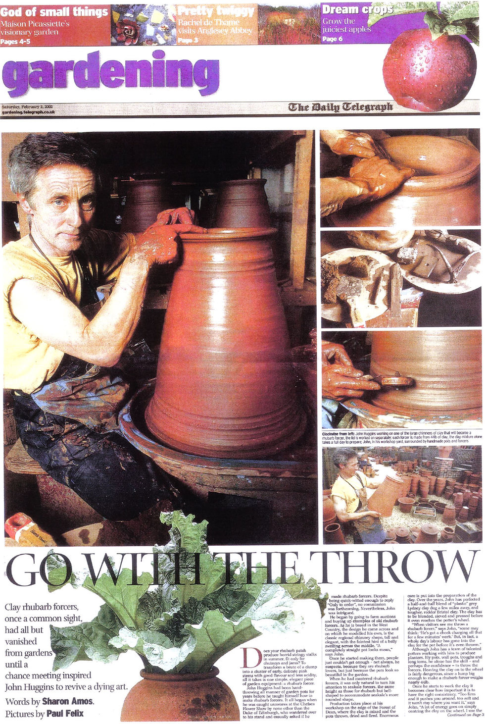 Thumbnail: Rhubarb Forcers