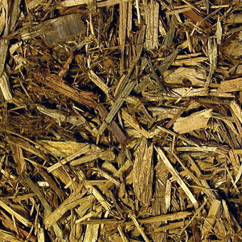 Thumbnail: Zoo Med Forest Floor Bedding - 4 qt.