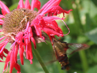 Trail Talk 323 - July 30, 2024