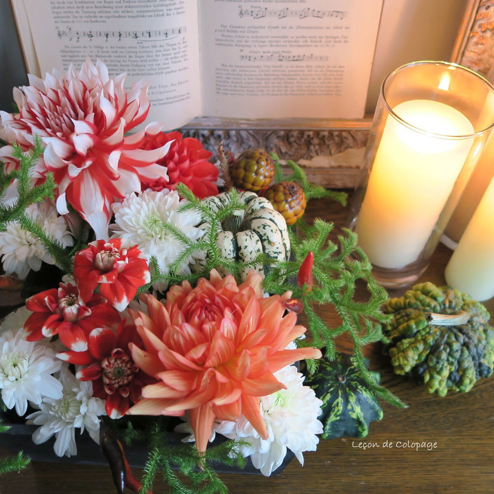 コロパージュ　ハロウィンアレンジメント