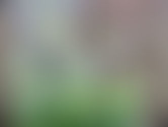 新コーススタート