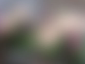 夏もフレッシュフラワーレッスン