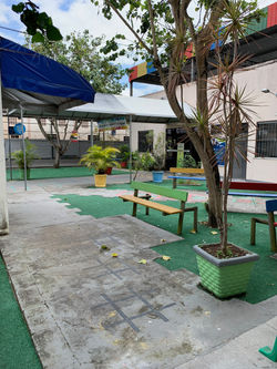 Importações - 23 de 50