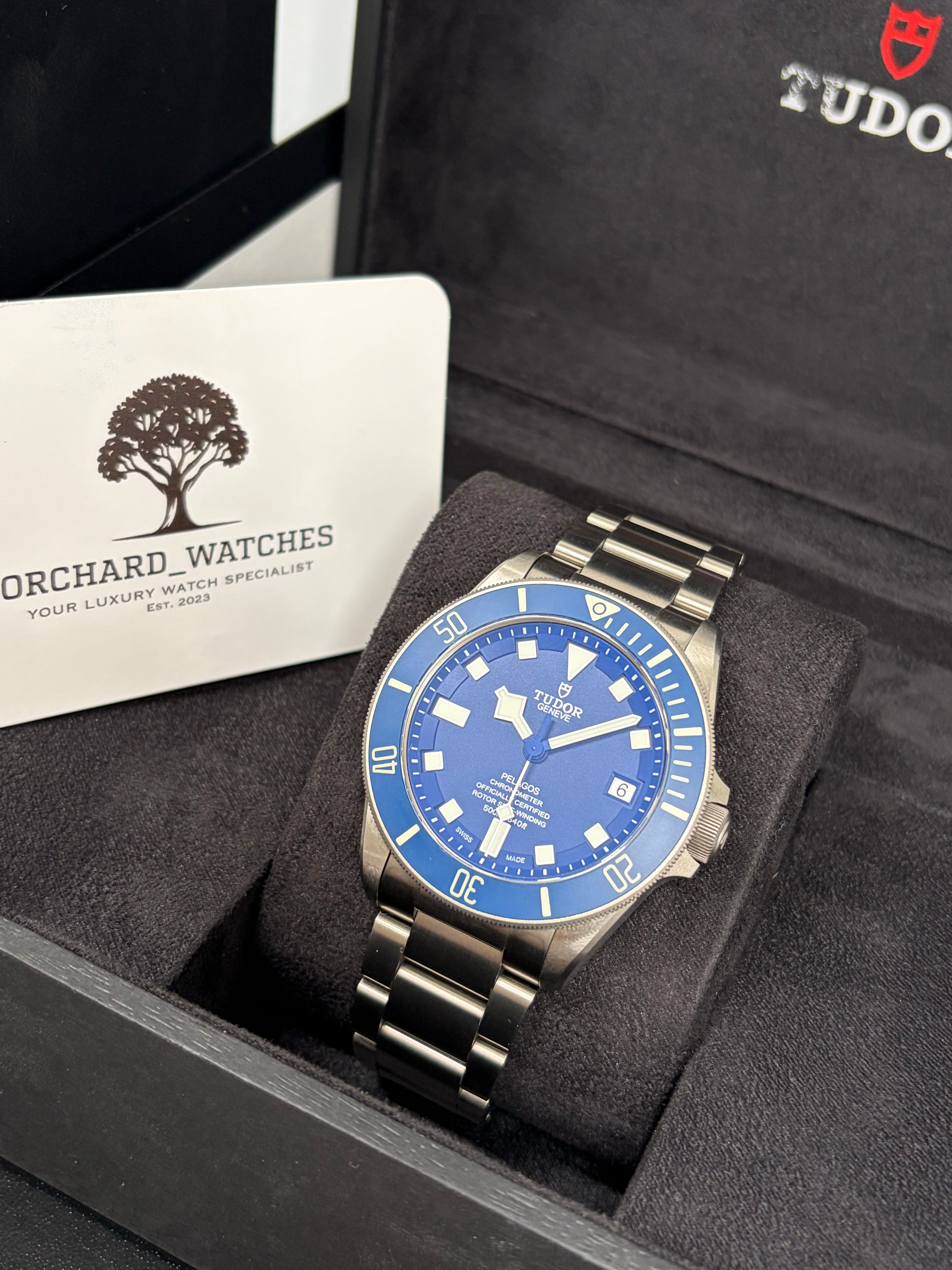 2022 Near Mint Tudor Pelagos Titanium (M25600TB-0001) Full Set