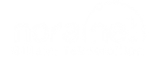 noranet-bilisim-beyaz.png