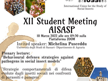 XII AISASP Student Meeting