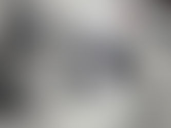 El traslado a Pavas: la historia previa, la colocación de la primera piedra y celebración inaugural*