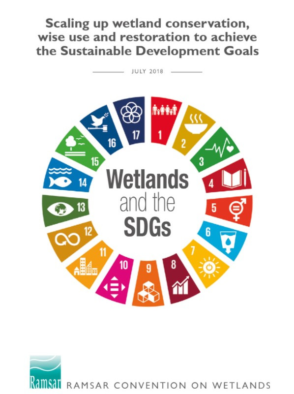 Wetlands and the Sustainable Development Goals
