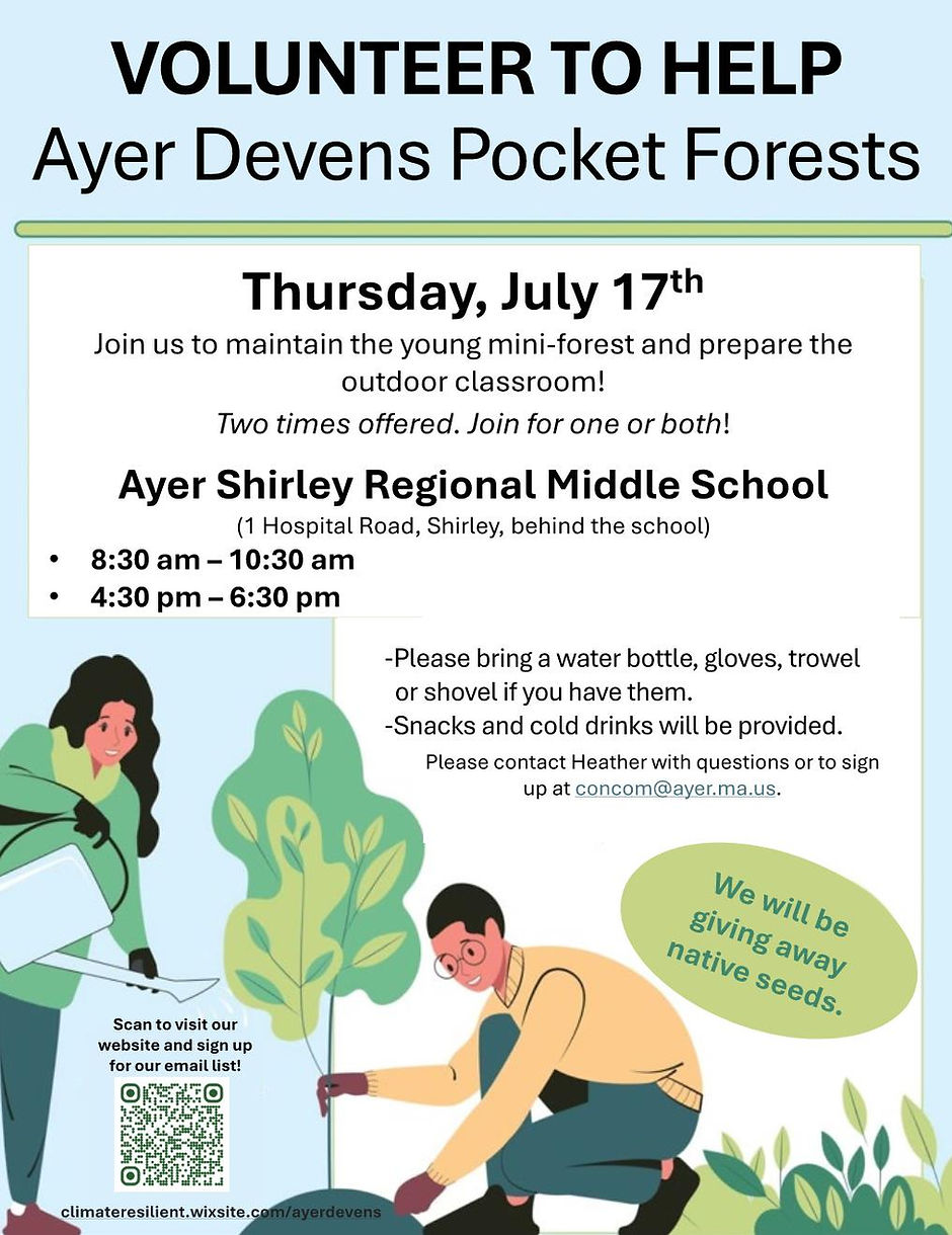 July 17 volunteer day.jpg