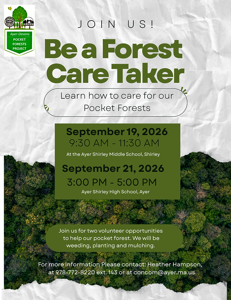 Pocket Forest work day_Sept 2026.png