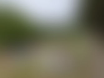 SAMEDI 30 MAI : DECOUVERTE DE LA REFLEXOLOGIE PLANTAIRE
