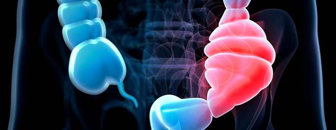 Untitled design (18).png