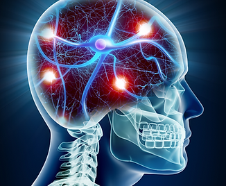 website img (17).png