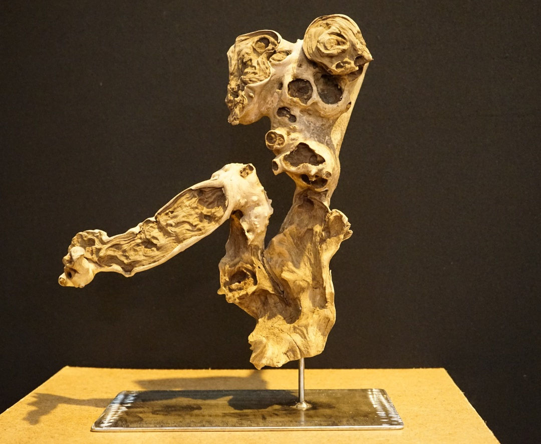 Le chien qui danse !