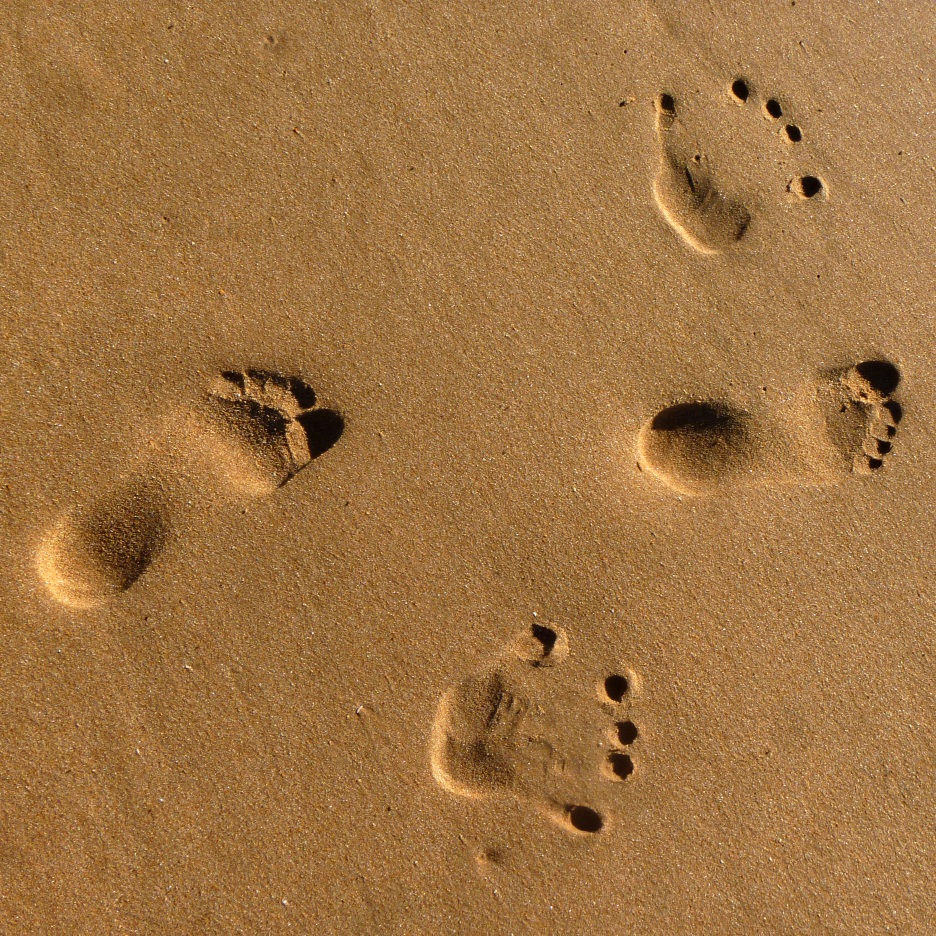Miniature : Carte / plage